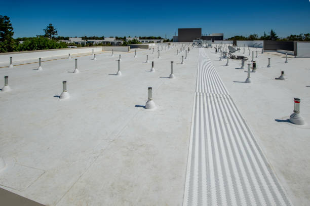 Best Roof Moss and Algae Removal  in Piru, CA